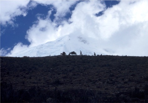 081 Aufstieg ins BC Huascaran